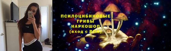 прущая мука Горняк