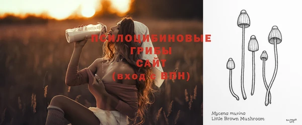 прущая мука Горняк